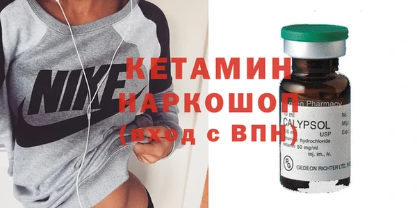 шишки Аркадак