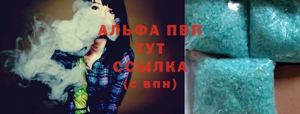шишки Аркадак