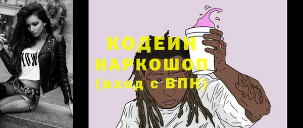 гашик Арсеньев