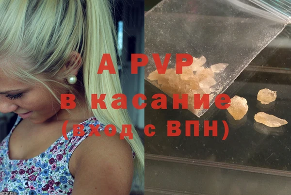гашик Арсеньев