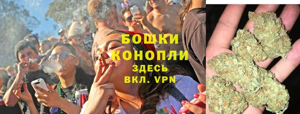 гашик Арсеньев