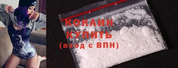 гашик Арсеньев