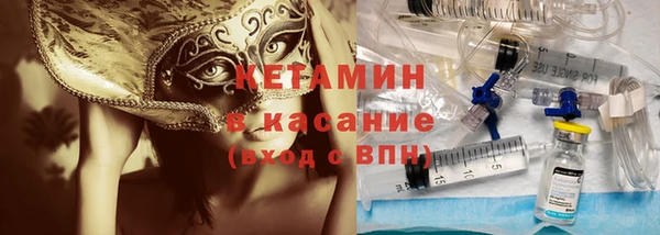 шишки Аркадак