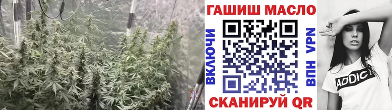 Дистиллят ТГК вейп  цена наркотик  Аша 