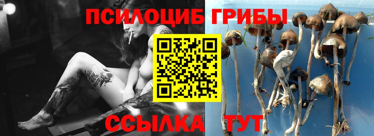 Псилоцибиновые грибы ЛСД Аша